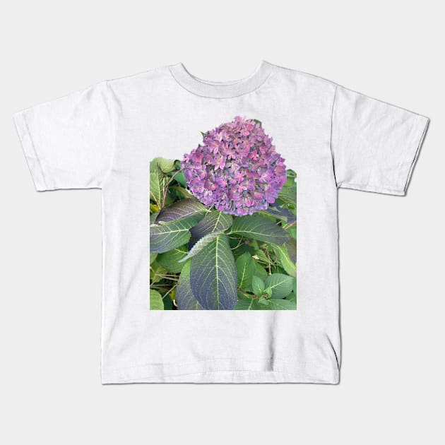 Hydrangea Kids T-Shirt by Amanda1775